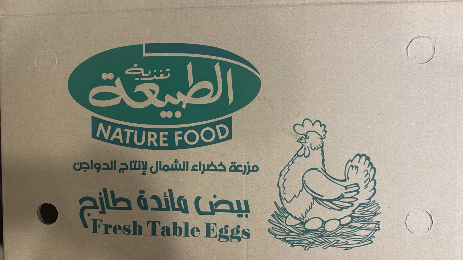 Brand Logo 5